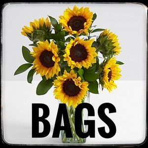 Check out the bags in my closet!